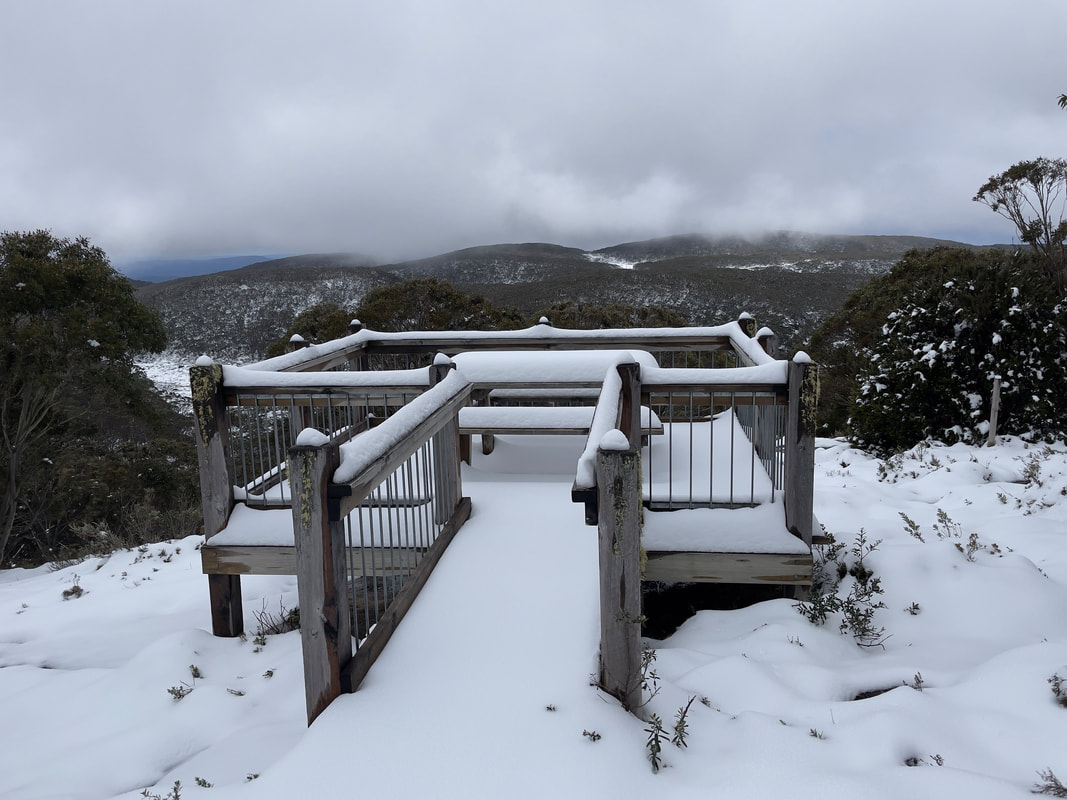 Snow gums and trails at Mt Baw Baw Alpine Resort