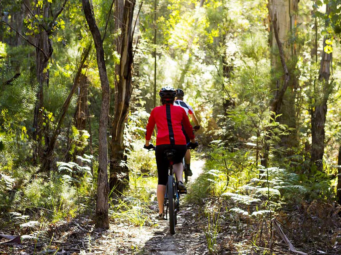 River, cycling track and forest in Gippsland